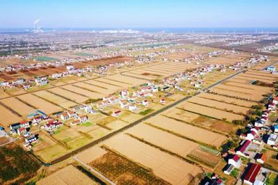 啟東鄉(xiāng)村游再登央視，沙地圩田文化與創(chuàng)新投資雙輪驅(qū)動(dòng)